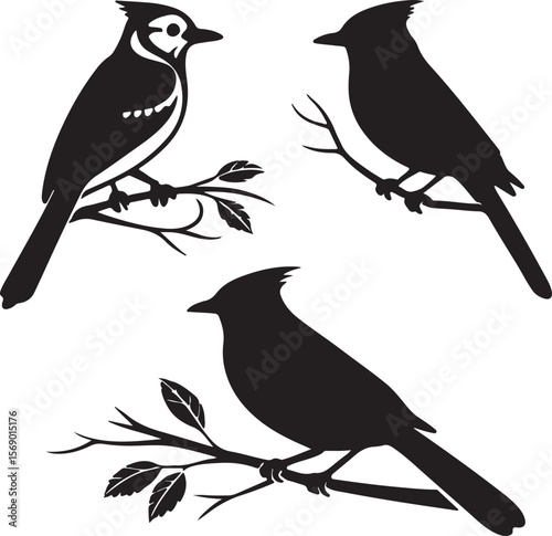 Bird Silhouette Vector Icon Design – Flying Animal Outline Graphic for Nature and Wildlife Themes