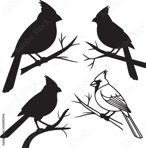 Bird Silhouette Vector Icon Design – Flying Animal Outline Graphic for Nature and Wildlife Themes