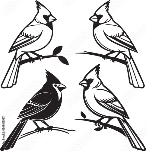 Bird Silhouette Vector Icon Design – Flying Animal Outline Graphic for Nature and Wildlife Themes