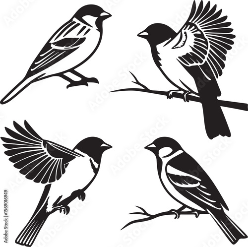 Bird Silhouette Vector Icon Design – Flying Animal Outline Graphic for Nature and Wildlife Themes