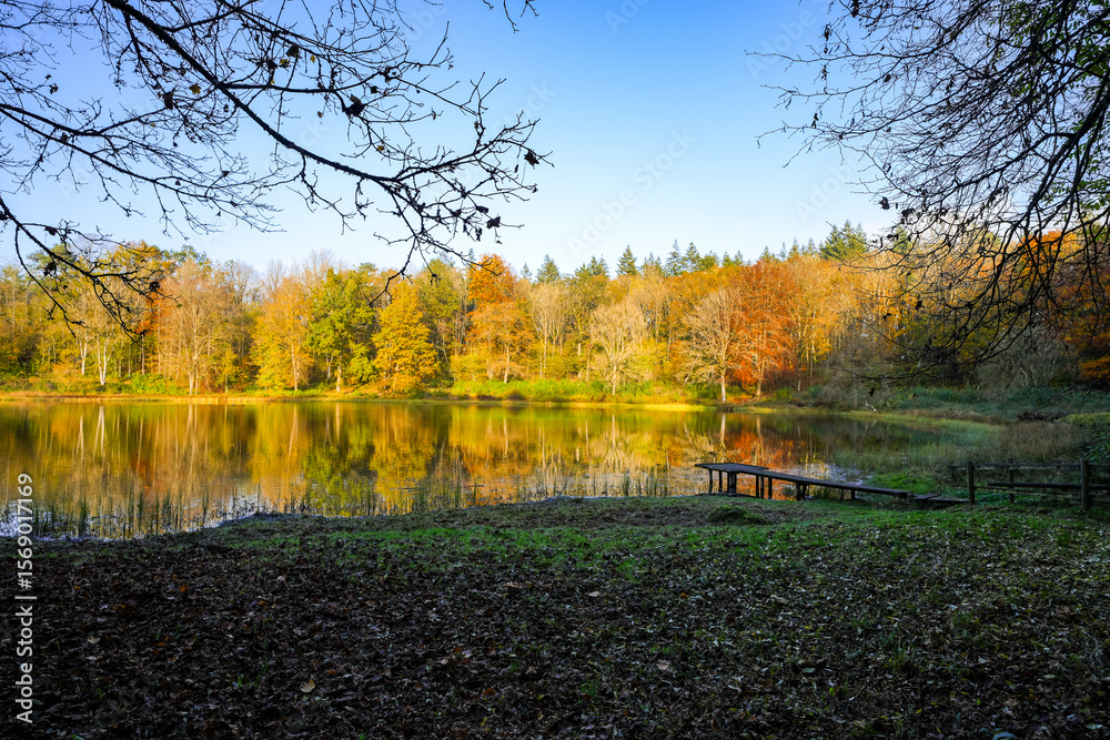 Fototapeta premium View of the Windsborn Kratersee and the surrounding landscape. Nature at the lake in the Eifel region in autumn at the volcanic crater near Bettenfeld. 