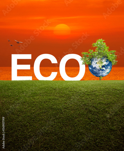 Fototapeta Naklejka Na Ścianę i Meble -  ECO acronym with earth and tree on green grass field over sunset sky and sea, Ecology saving power and energy concept, Save the earth concept, Elements of this image furnished by NASA