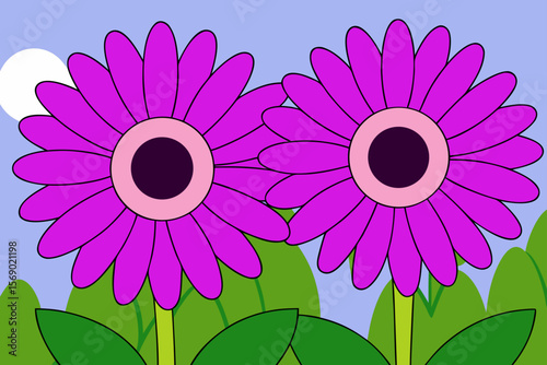 Vibrant Purple Gerbera Daisies A Pair of Stunning Flowers
