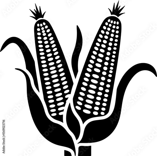 The black and white image of corn is from the corn