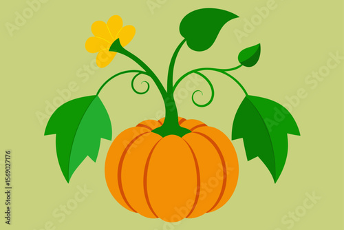 Pumpkin Plant With Some Flowers Leaves And A Ripe Fruit