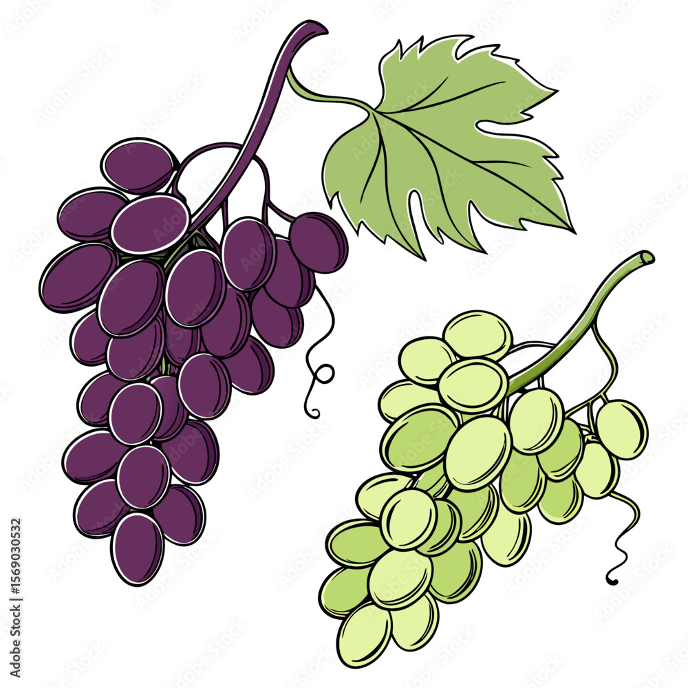 Fototapeta premium Grapes AI Vector Design for Fresh Food & Nature Themes