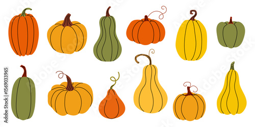 Colorful assortment of pumpkins and gourds arranged in artistic display for autumn harvest celebration