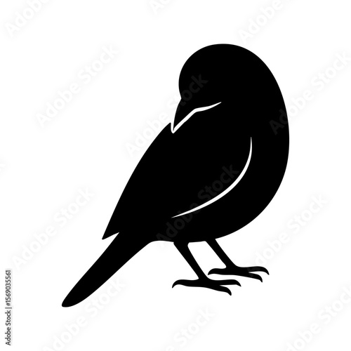 Bird Silhouette Preening Isolated on White Background