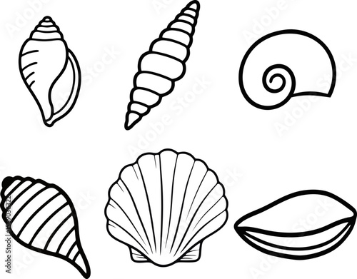 set of shells