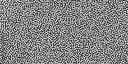 Abstract Reaction-diffusion Turing pattern natural texture gray gradient color scheme. Linear design with biological algorithm psychedelic background. Reaction-diffusion or truing patter	
