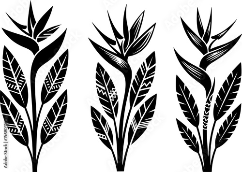 Tribal silhouette of bird of paradise plant with vibrant petals, ideal for summer decor, tropical prints, and botanical art