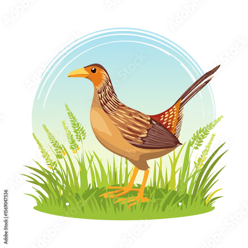 Elegant pheasant standing in lush green grass against a blue sky backdrop