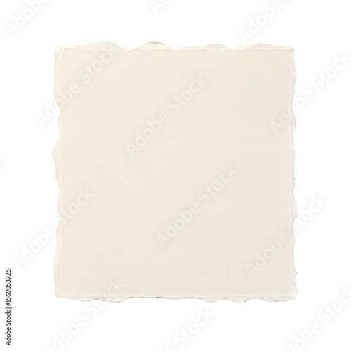 Wallpaper Mural Textured Off-White Square Paper with Irregular Torn Edges. Torontodigital.ca