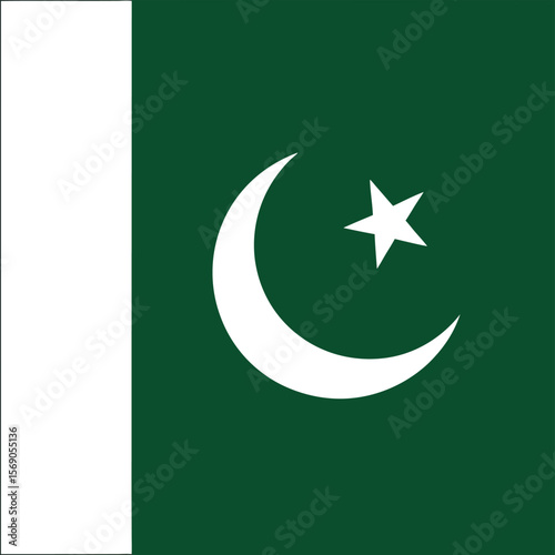 A visual representation of the flag of pakistan featuring a crescent moon and star on a green field