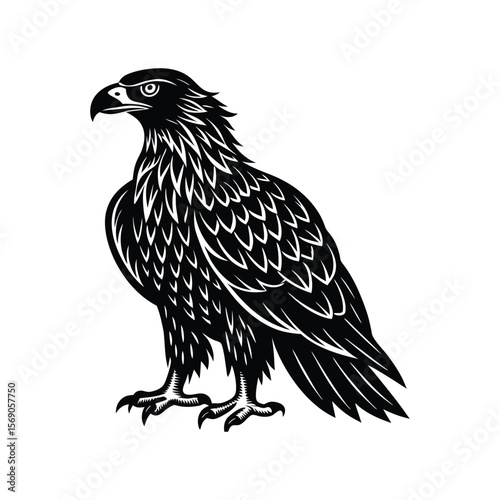 Majestic Eagle Silhouette: A powerful silhouette of an eagle, a symbol of strength and freedom, rendered in bold lines, is a striking representation of avian grace.