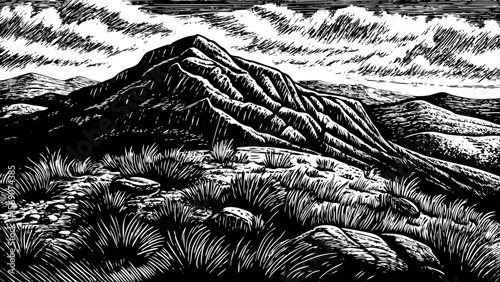 rocky mountain with sparse grass patches and hardy shrubs adapted to high elevation a black and white line art illustration
