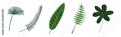 Green Tropical Leaf and Jungle Foliage Vector Set