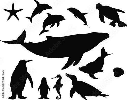 Silhouette illustration of various sea animals white background.