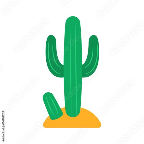 Summer  Desert Green Cactus