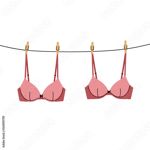 Two pink bras hanging on a clothesline with wooden clips  