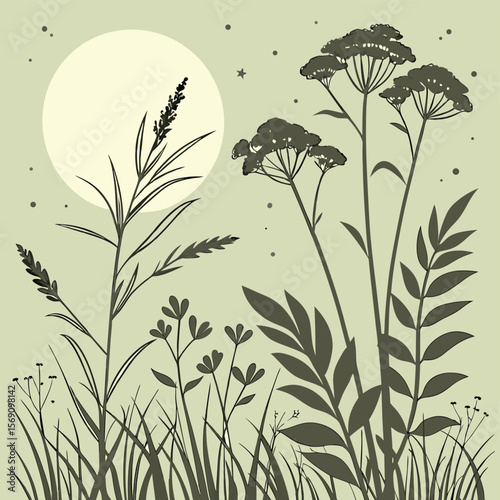 Silhouette of wild plants and grass with a full moon and stars in a serene monochrome setting