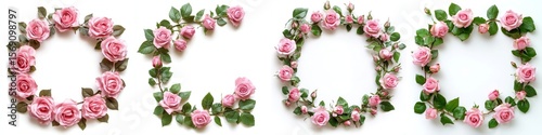 Pink roses forming a decorative frame, isolate on white background. Set Collection.