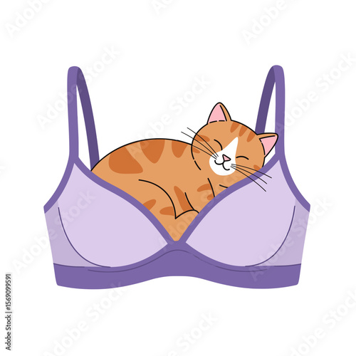 Cartoon orange cat sleeping in purple bra illustration  