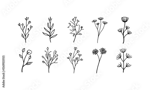 Delicate Ink Flowers. Light and delicate ink flower drawings with blooming heads and elegant organic composition.