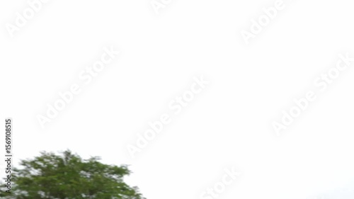 Asian child boy play airplane toy outdoor with fun face in nature background. Happy kid in white shirt enjoy playing in relaxing day.