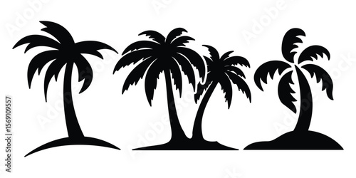 Tropical Palm Trees Vector, Black Silhouette Graphic