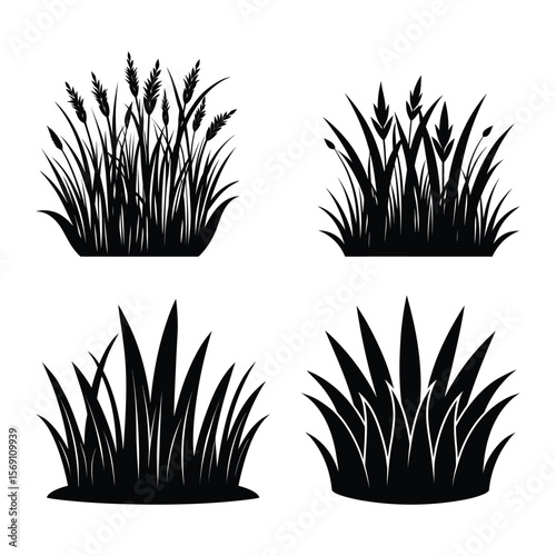 Grass Silhouette – Black Grass Vector Isolated on White Background