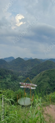summer landscape with mountains