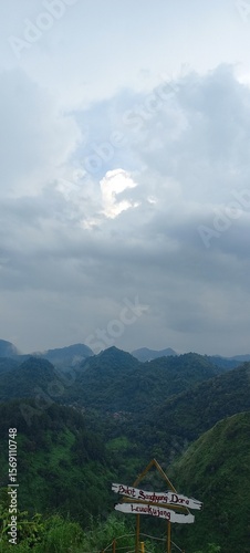 summer landscape with mountains
