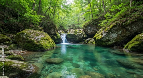 Serene Waterfall in Lush Green Forest