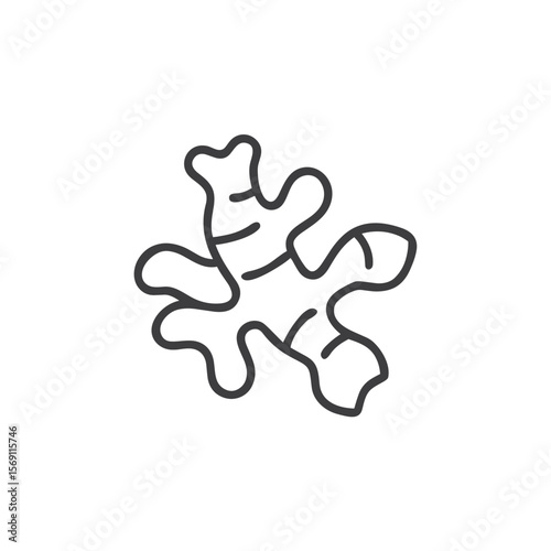 Ginger root icon for health blogs, herbal medicine guides, and cooking tutorials