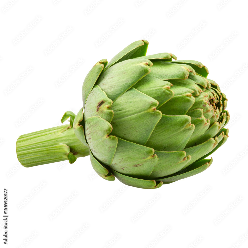 Fototapeta premium A fresh, green artichoke with tightly packed leaves and a thick stem.