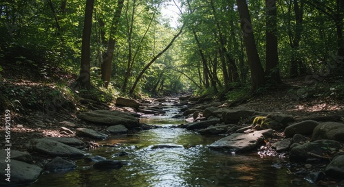 Serene Stream in Lush Green Forest