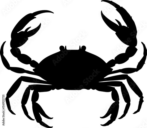 crab on white background