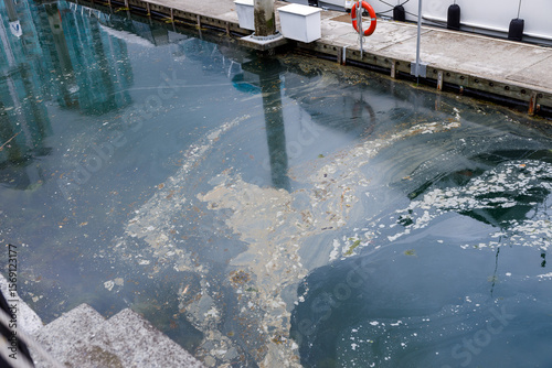 Polluted waters at Coal Harbour Marina with oil and debris floating near a wooden dock
