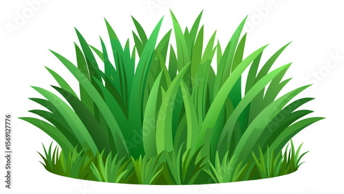 Vector art of a dense green grass bush isolated on white background