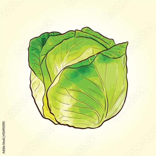 Vector illustration cabbage colorful gradient mascot