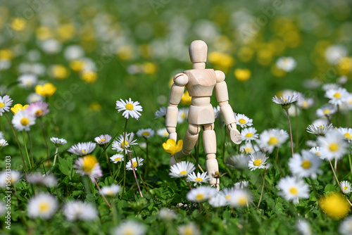 Fototapeta Naklejka Na Ścianę i Meble -  homme humain environnement planète jardin