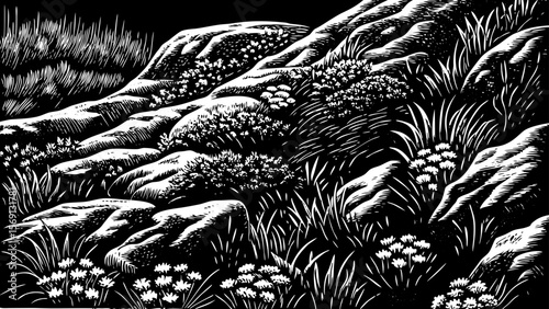 A windswept mountain ridge with tundra moss, lichen, and scattered alpine flowers vector a black and white line art illustration