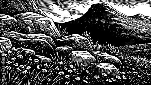 A windswept mountain ridge with tundra moss, lichen, and scattered alpine flowers vector a black and white line art illustration