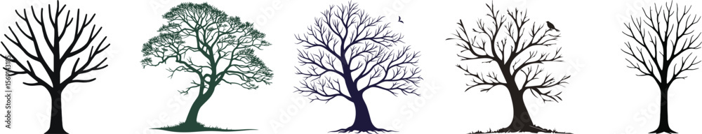 Obraz premium Diverse Collection of Winter and Evergreen Tree Silhouettes - Nature Graphic Elements Set