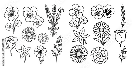 Set of flower drawings in black and white. The flowers are arranged in a way that creates a sense of harmony and balance. Scene is peaceful and serene, with the flowers representing the beauty