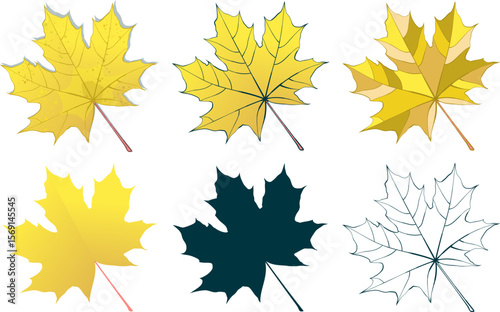 Hand-drawn gold autumn colored maple leaves collection isolated on white background. Flat and line style vector illustration.