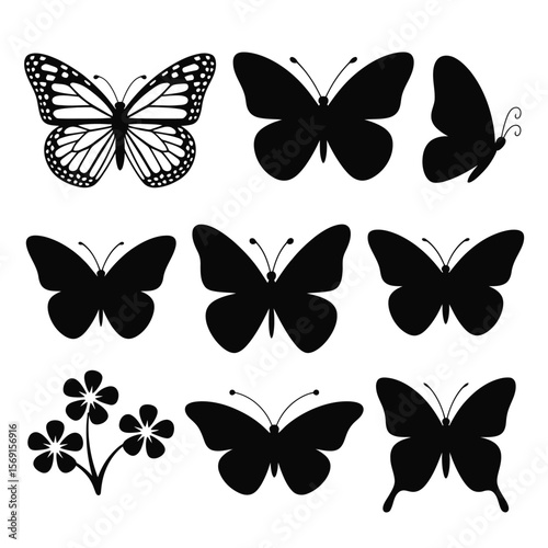 Black and White Butterfly Silhouettes and Floral Element on White Background