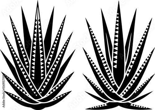 Striking silhouette of spiky aloe plant with tribal triangle motifs, ideal for summer decor, desert logos, and botanical prints