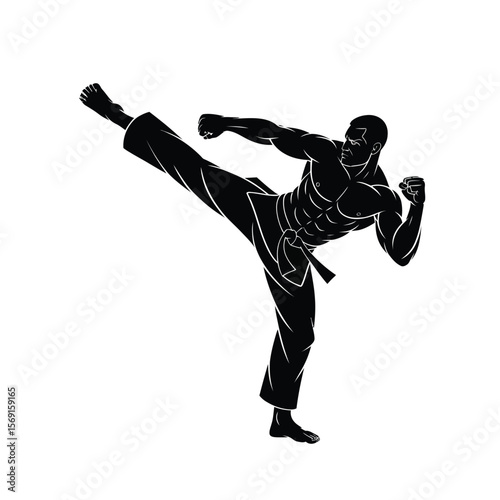 Black Silhouette Martial Artist Performing High Kick
